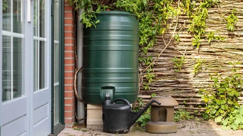 Collect Rainwater in Texas