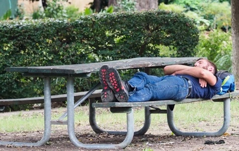 Sleep in a Public Park