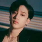 Bang Chan Lawsuit