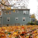 Leaves in Your Backyard