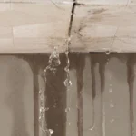 Water Damage Claim